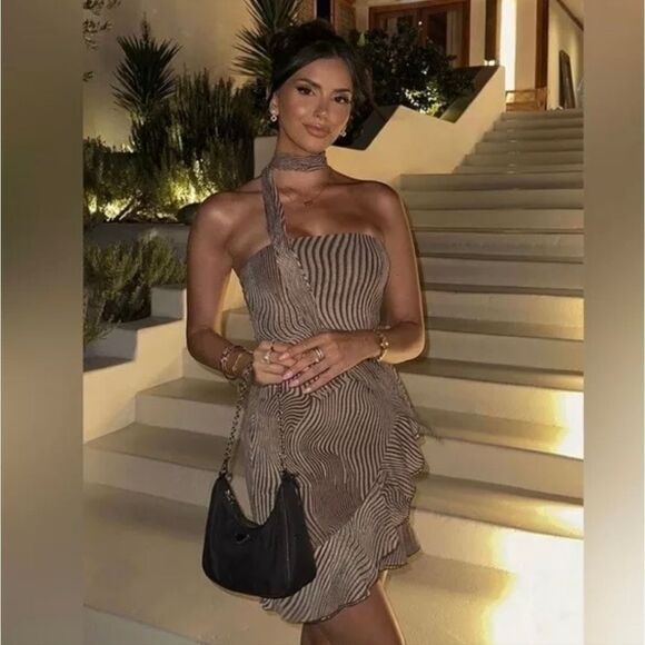 NWT ZARA Printed tulle zebra dress - Picture 3 of 12